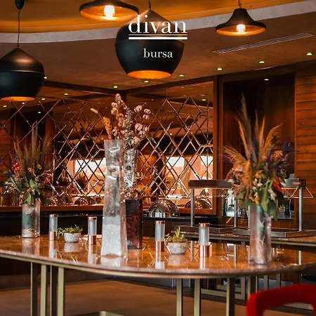 Divan 4* Bursa