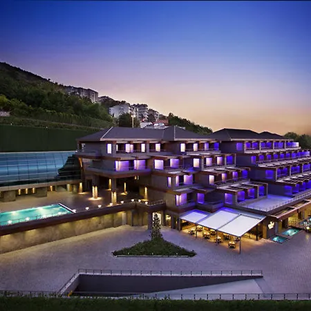 Divan 4* Bursa